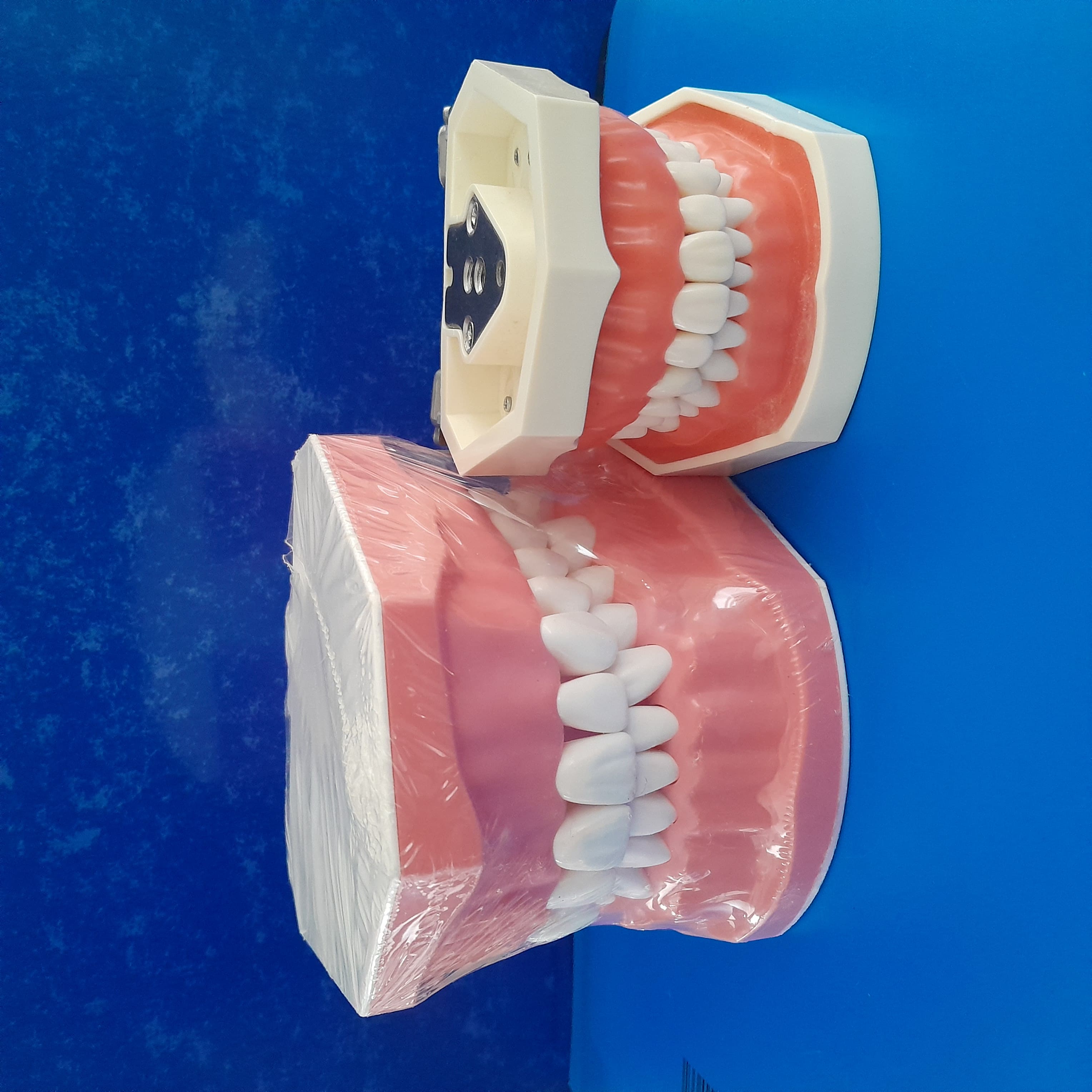 Study-Model-in-kenya