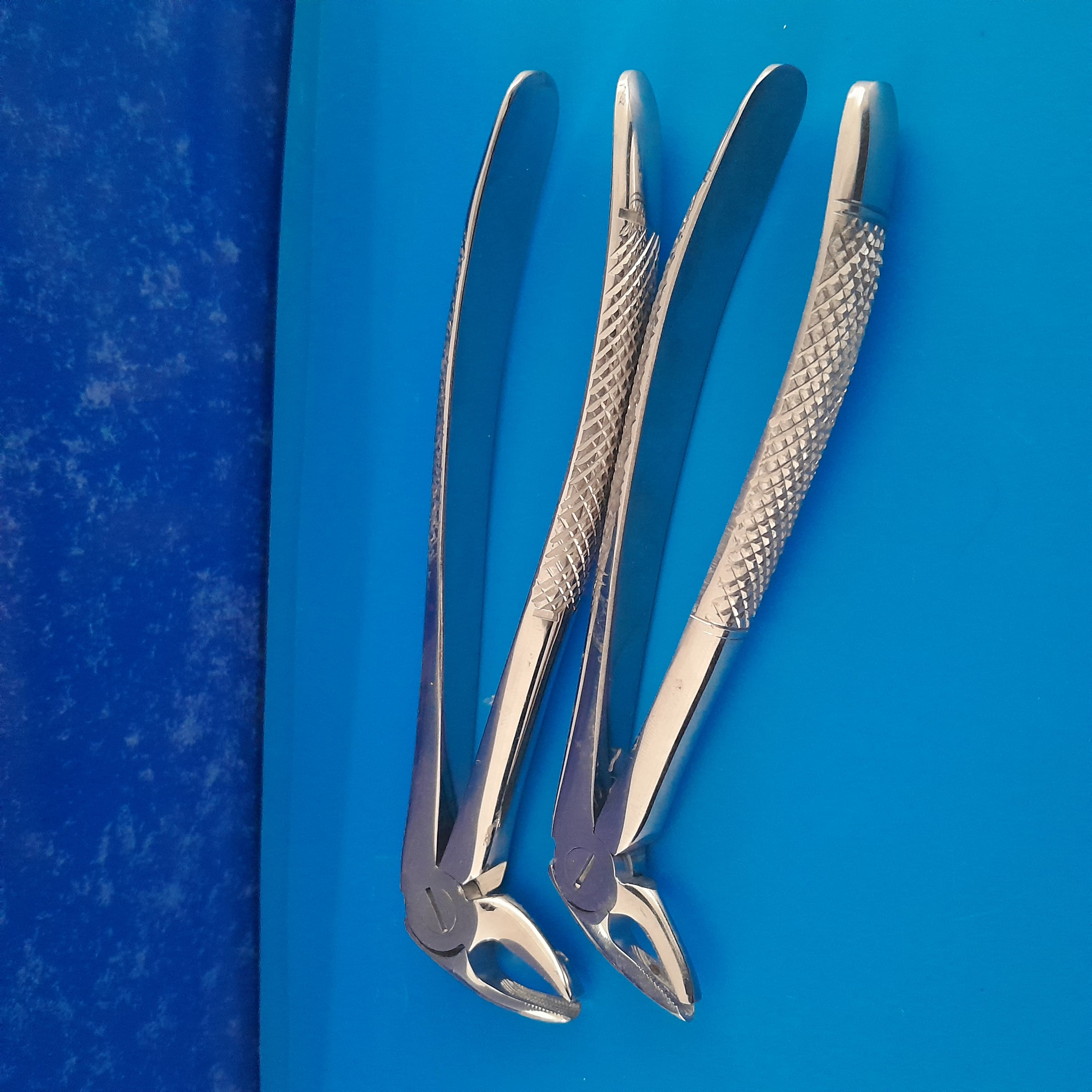 Lower Molar Forcep