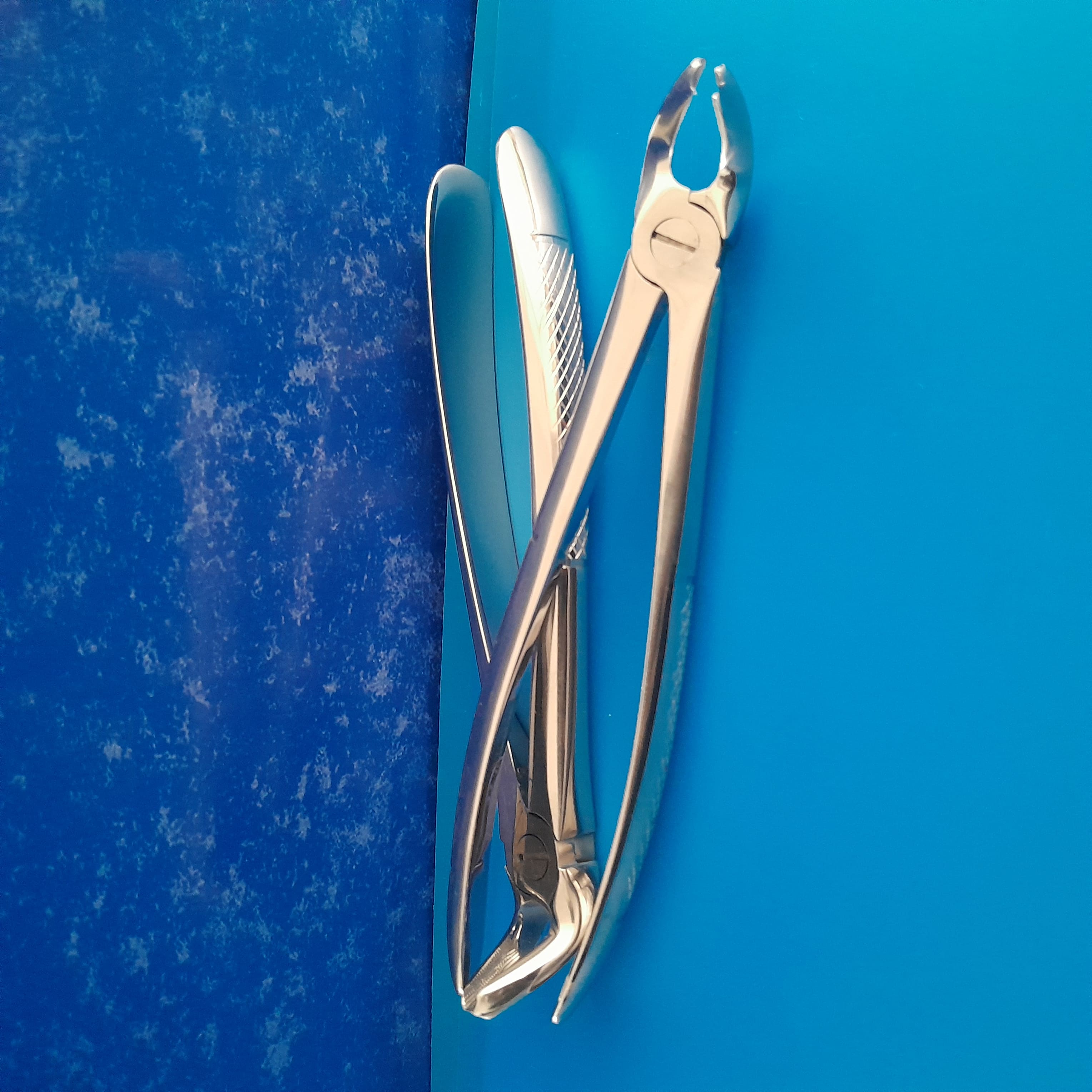 Lower 3rd Molar Forcep