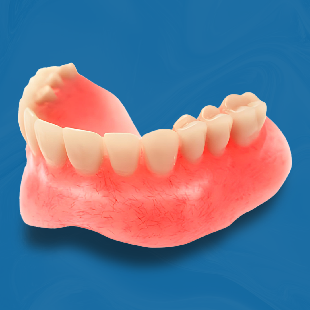 Complete Denture Single Jaw